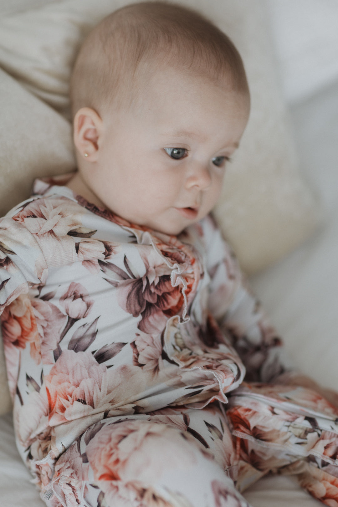 Peonia Bebe